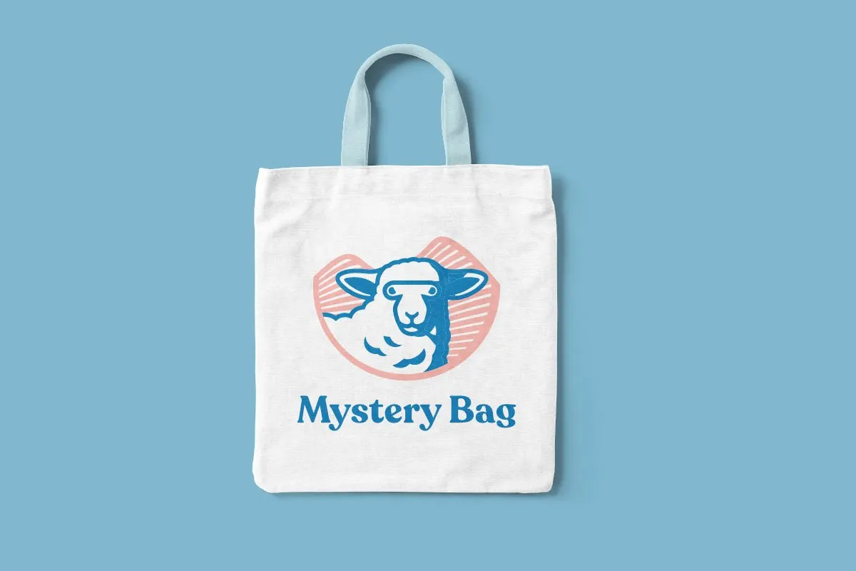 Women's Mystery Bag